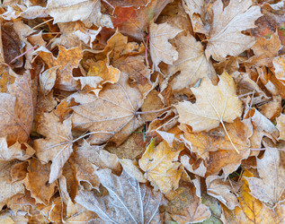 Similar image 21952496