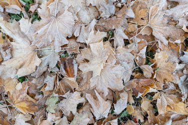 Similar image 21952497