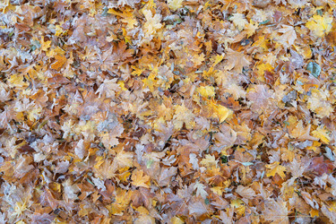 Similar image 21952498