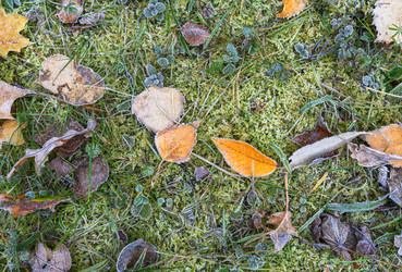 Similar image 21952500