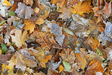 Similar image 21952501