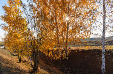 Similar image 21952506