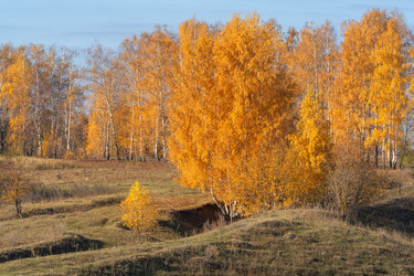 Similar image 21952507