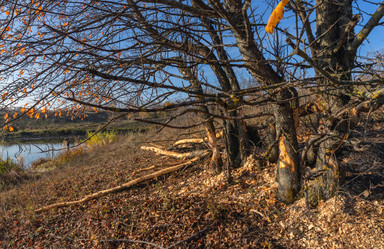 Similar image 21952508