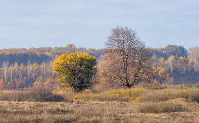 Similar image 21952513