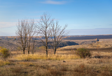 Similar image 21952515