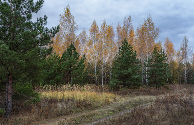 Similar image 21952516