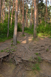 Similar image 21967131