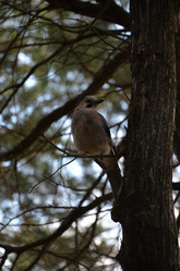 Similar image 21967134