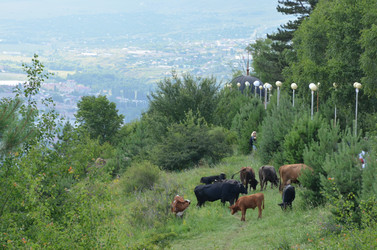 Similar image 21967135