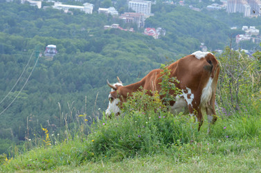 Similar image 21967137