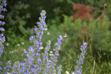 Similar image 21967139