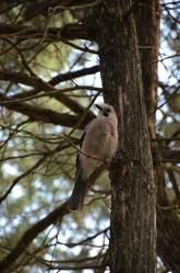 Similar image 21967140