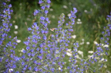 Similar image 21967141