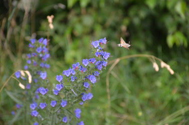 Similar image 21967143