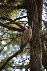 Similar image 21967146