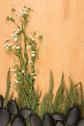 Similar image 21971333