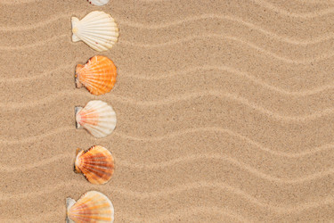 Similar image 21971348