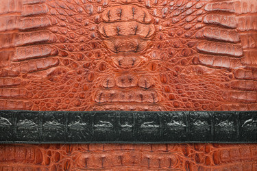 Similar image 21971359