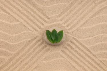 Similar image 21971641