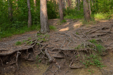 Similar image 21967155