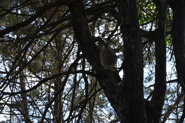 Similar image 21967157