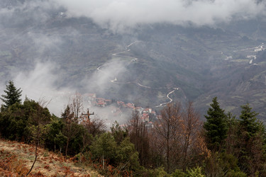 Similar image 21953295