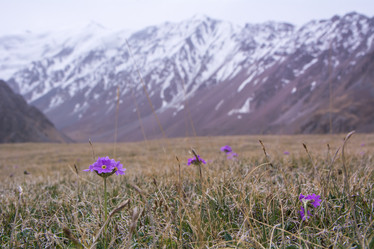 Similar image 21953454