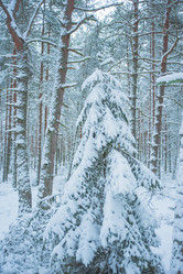 Similar image 21953455