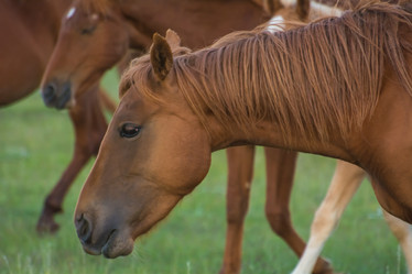 Similar image 21953457