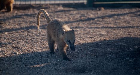 Similar image 21953458