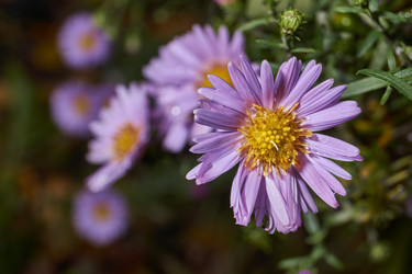 Similar image 21953464