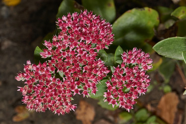 Similar image 21953465