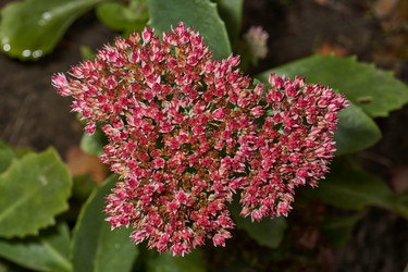 Similar image 21953468