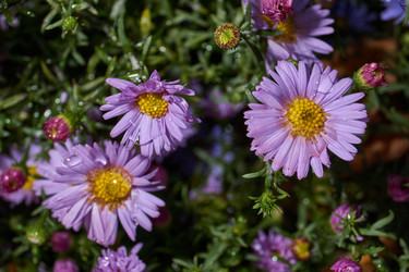 Similar image 21953471