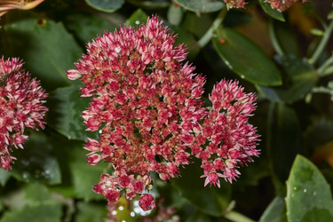 Similar image 21953472