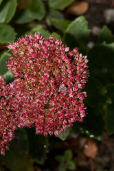 Similar image 21953473