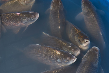 Similar image 21953475