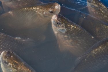 Similar image 21953476