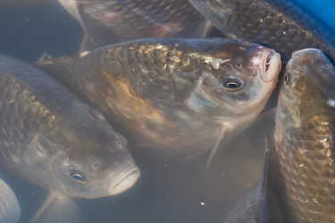 Similar image 21953477