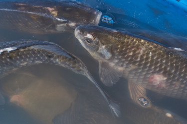 Similar image 21953478