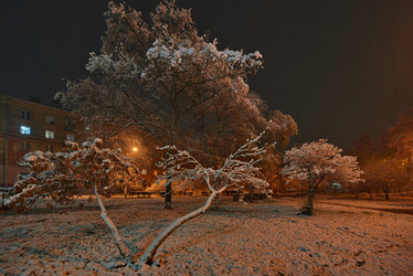 Similar image 21953949