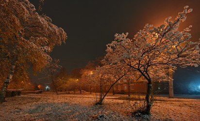 Similar image 21953950