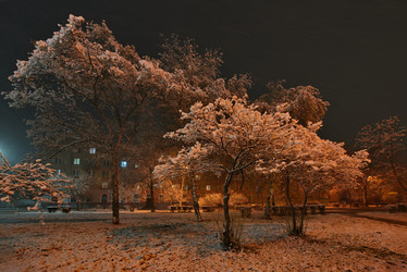 Similar image 21953959