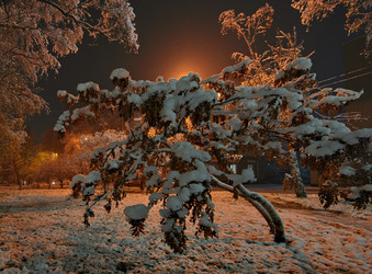 Similar image 21953960