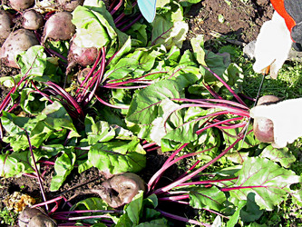 Similar image 21953717