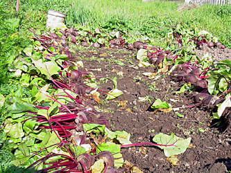 Similar image 21953718