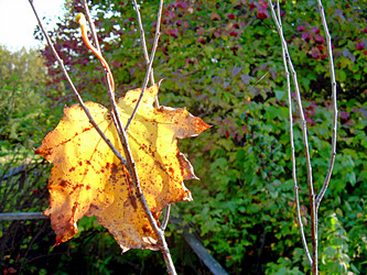 Similar image 21953719