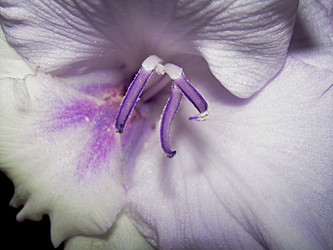 Similar image 21953722