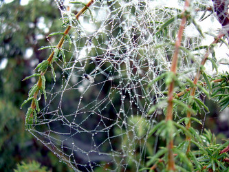 Similar image 21953725